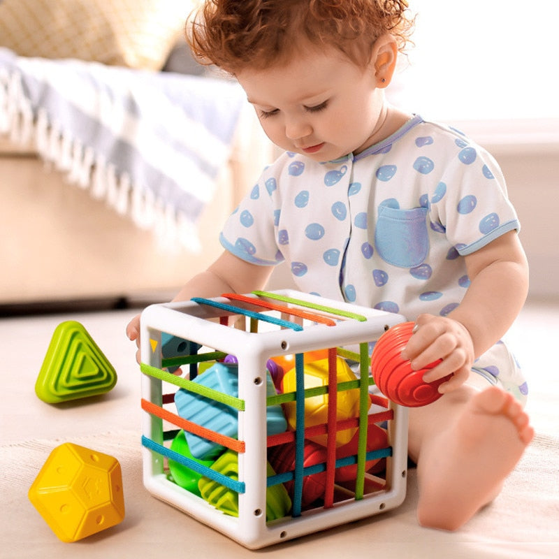 Colorful Shape Blocks Sorting Game Baby Montessori Learning Educational Toys For Children 0 - 12 Months Gift